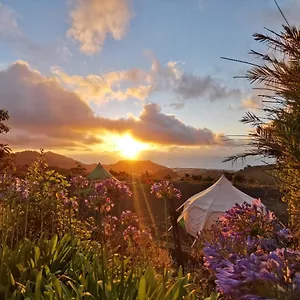 Free Canari - Los Alamos 8 Luxe tent